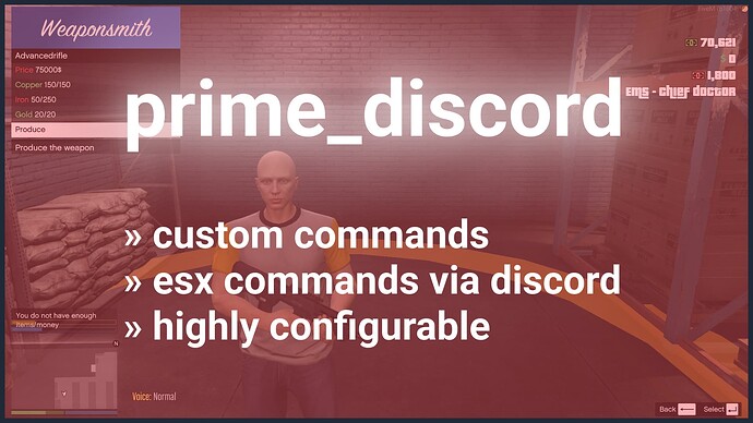 [ESX] Discord Bot | Status Command | ESX-Commands  Thumbnail