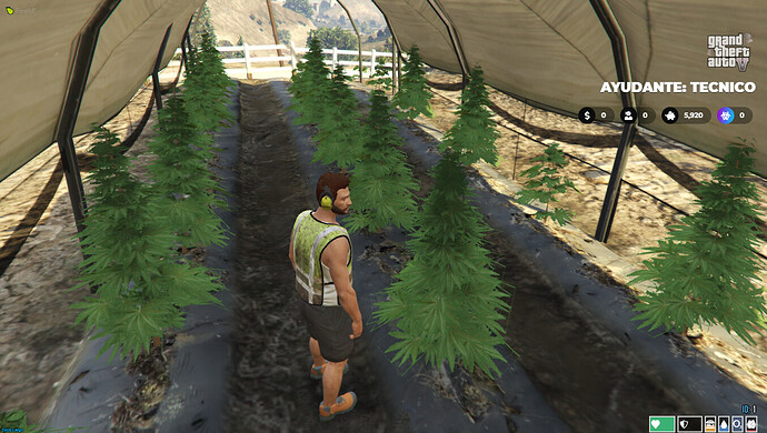 weed