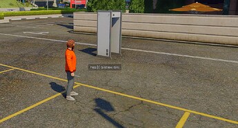 Metal Detectors (with item removal) thumbnail 4