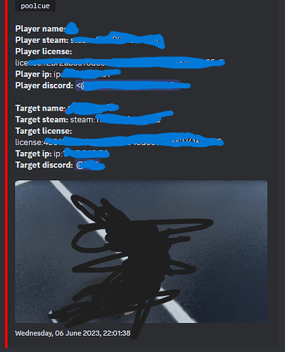 [PAID] [standalone] dsicord log thumbnail 2