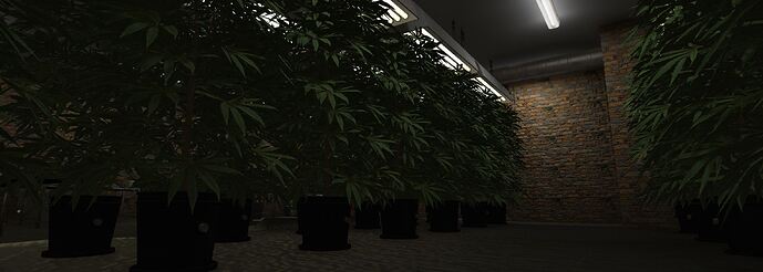 Drug Den thumbnail 11