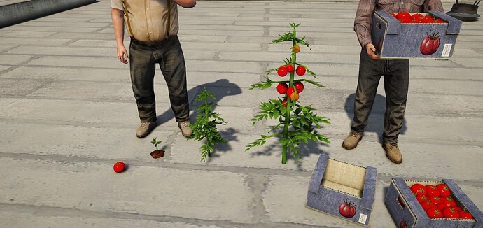 [PROPS] Tomatos plant thumbnail 2