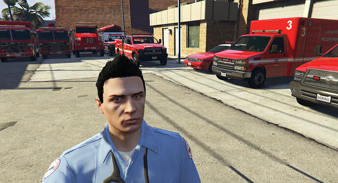 ems_face.PNG
