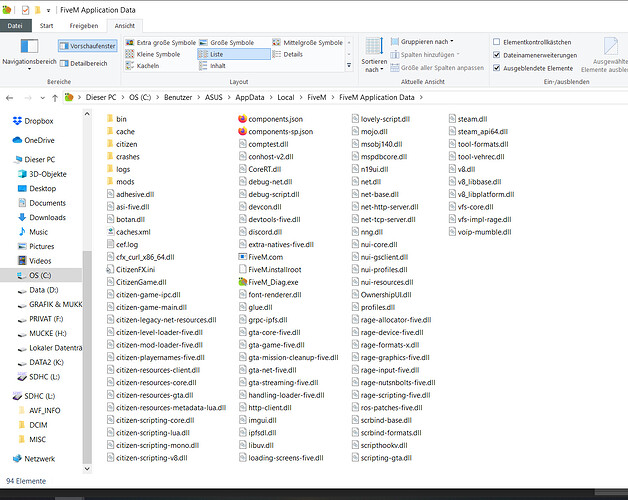 FiveM Filepath_2