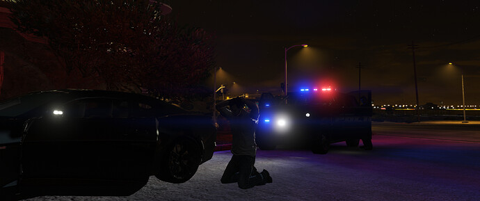 police stop 2