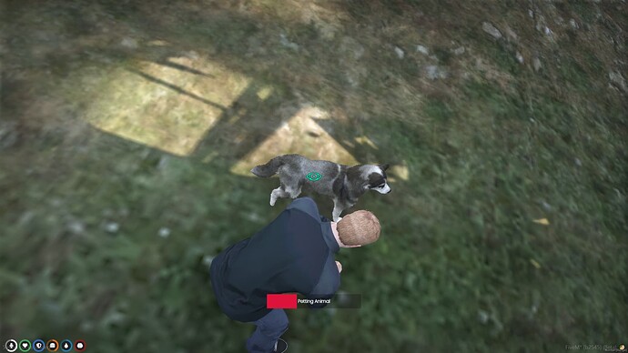 [QBCore]Animal Petting Thumbnail