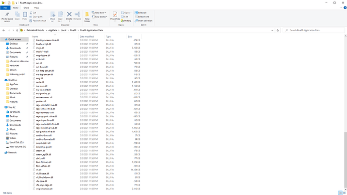 FiveM Application Data 2_8_2021 9_21_38 AM