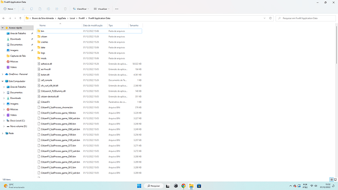 fiveM pastfile