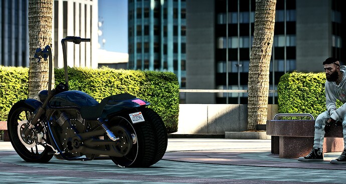 [PAID] Harley Davidson "Z-Bar" V-Rod thumbnail 2
