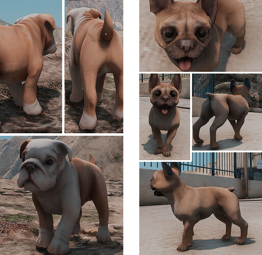 [PAID] FUTURE Bulldog Puppies [X2] [PED] [DOG] [PETS] Thumbnail