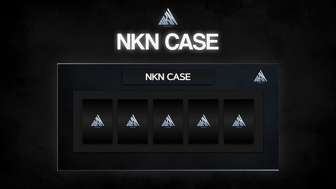 [ESX] NKN - Case [great option for donations] Thumbnail