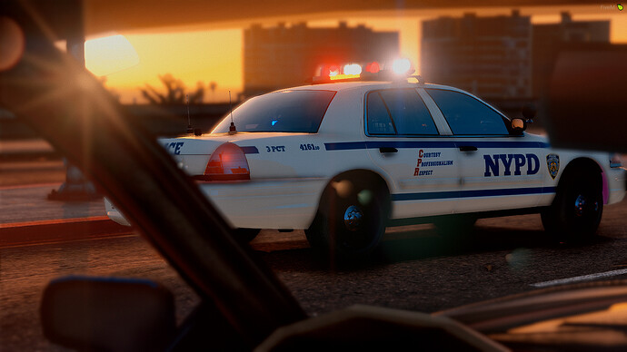NYPD2