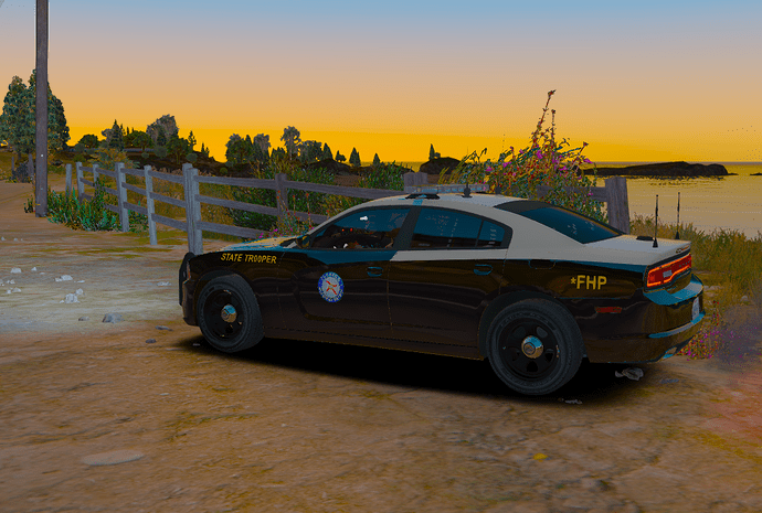 charger6