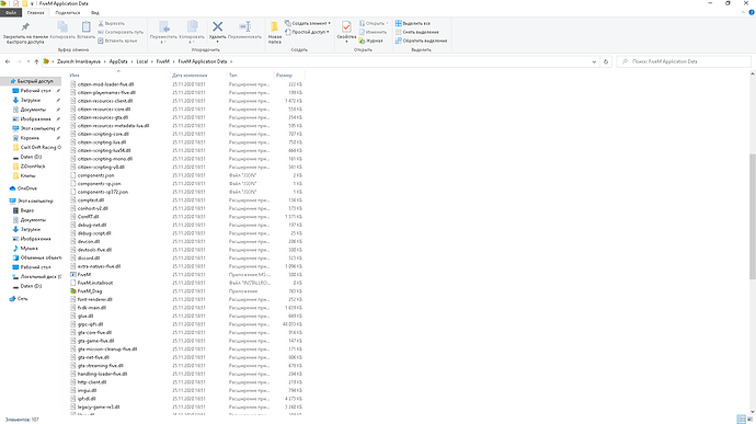FiveM Application Data 25.11.2020 19_11_08