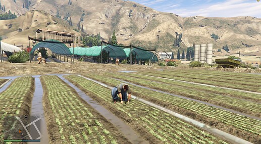 [ESX] Carrot Picking (UPDATED w. Minigame) [ON SALE] thumbnail 4