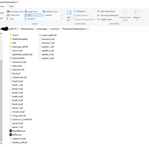 RDR2SteamFolder