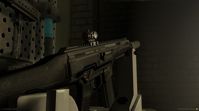 HK433  Coil Police Rifle_2