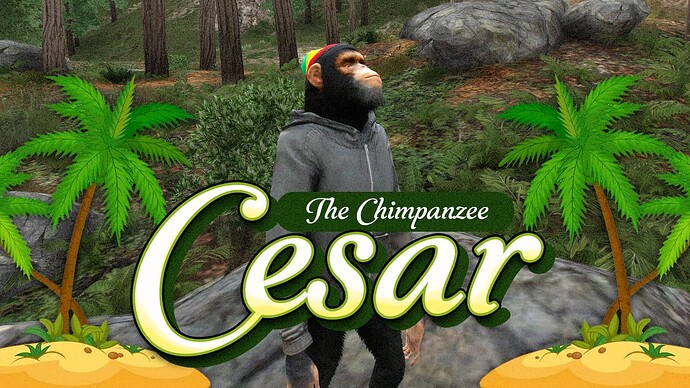 Cesar The Chimpanzee