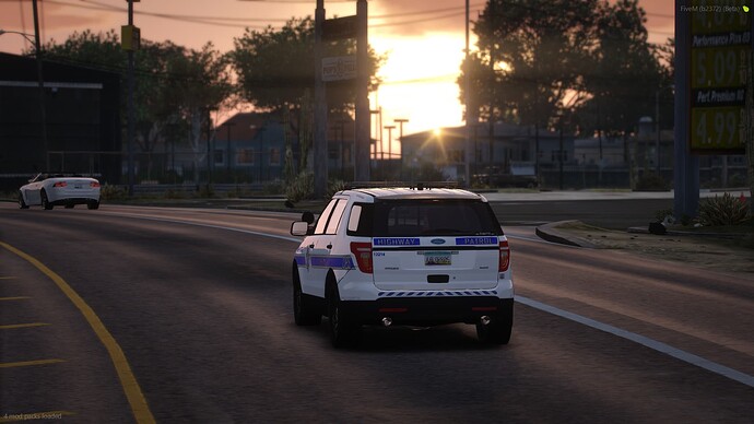 FiveM_b2372_GTAProcess_V5iMKAlrH4