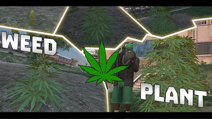 weedplant