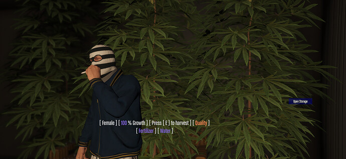 Capture.PNG