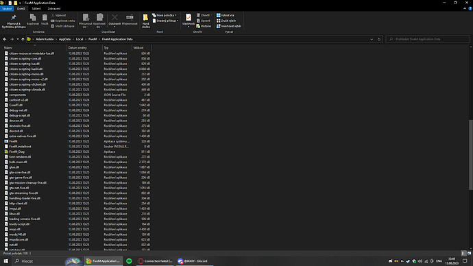 Snímek obrazovky (19)