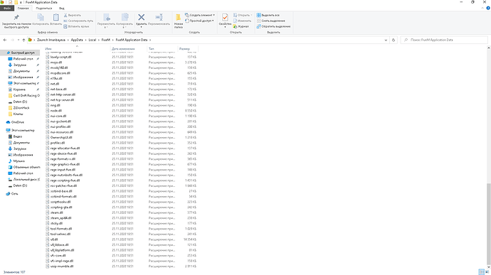 FiveM Application Data 25.11.2020 19_10_56