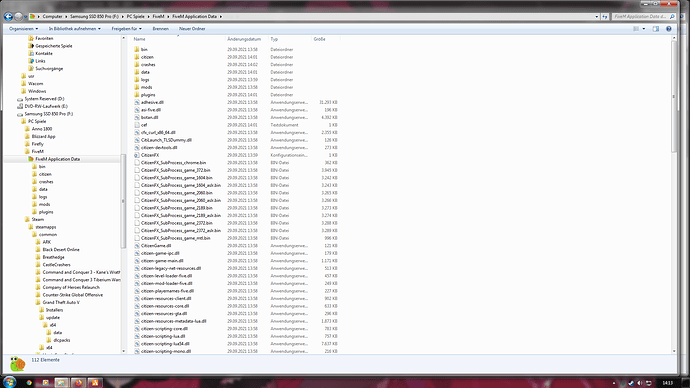FiveM launch crash adhesive.dll+10F21DA - FiveM Client Support - Cfx Forum