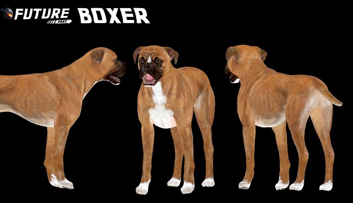 BOXER