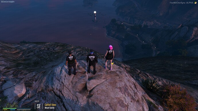 FiveM_GTAProcess_2020-04-17_20-54-10