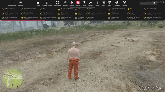 [CUSTOM] [UI] Emotes Menu (ChaosQK Shop) Thumbnail