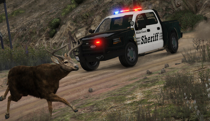 vapid-carracara-bcso
