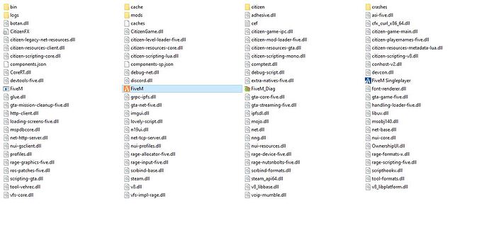 fivem folder
