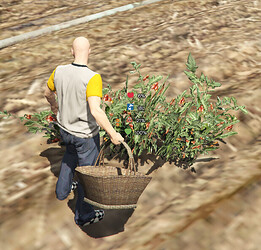 [ PAID ] Farming System - Grow your Wheat & Tomato 🍅 [ ESX ] thumbnail 2