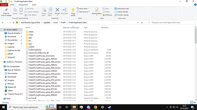 Captura de Tela (36)