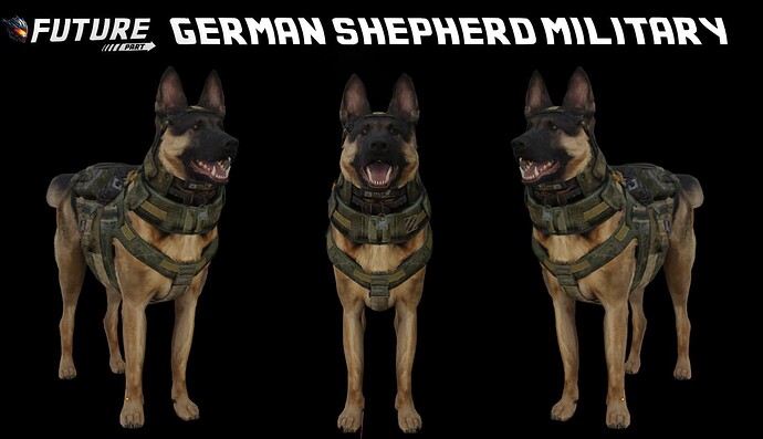 militarydog