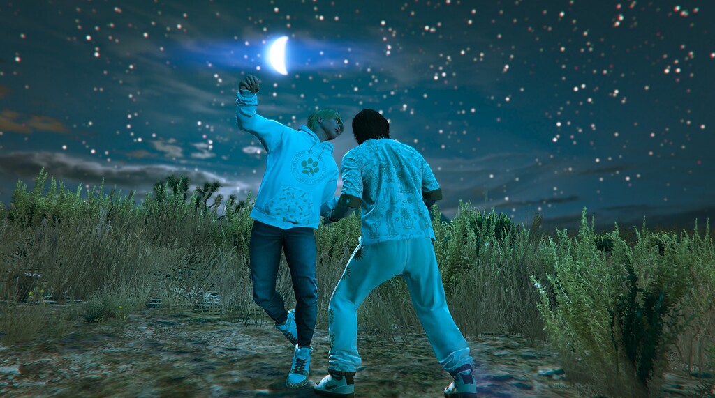 Harmony FiveM Snapmatic Cfx re Community harmony-fivem-snapmatic-cfx-re-community