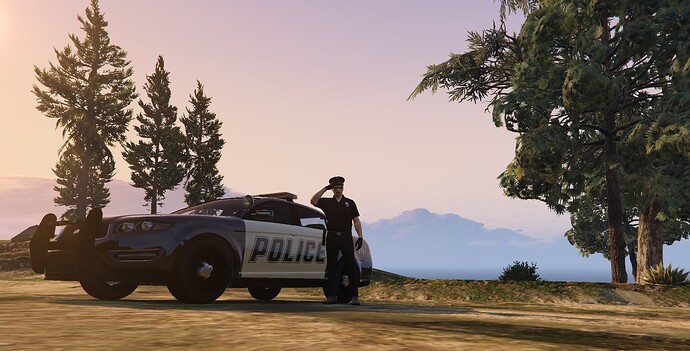 cops_background