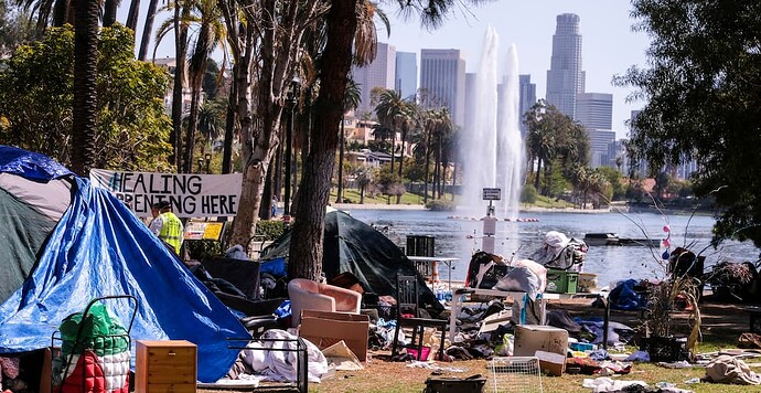 los-angeles-echo-park-lake-homeless-encampment-march-2021-f