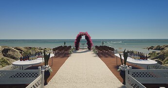 [PAID] [MAP] Beach Wedding thumbnail 3