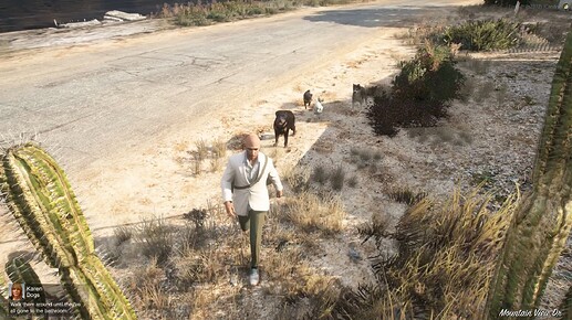 dogs preview