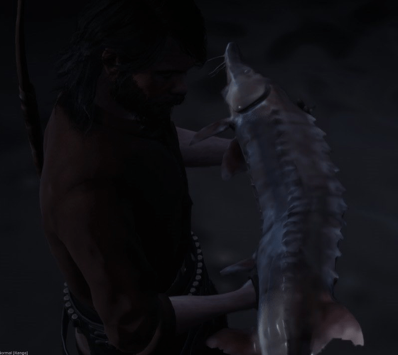 image fish