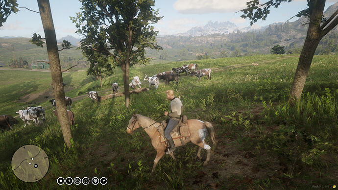 cattledrive
