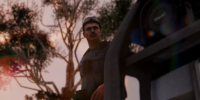 BLRP 22