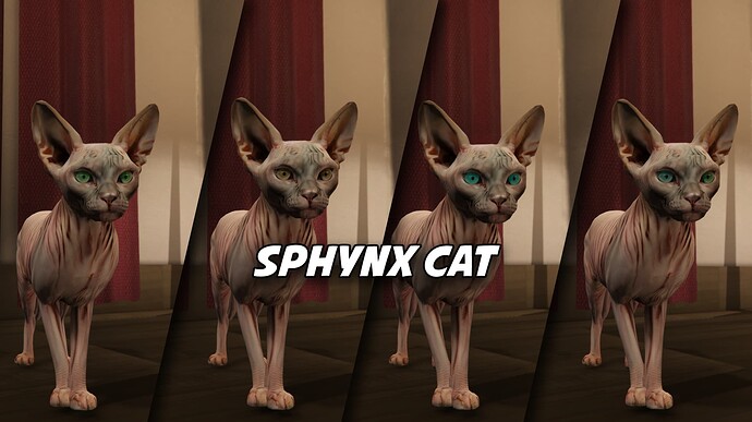 sphynxcatpic