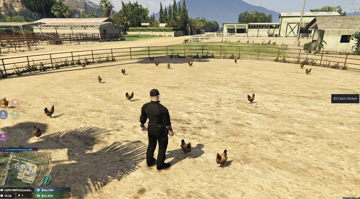 [FREE] Chicken Harvest Script (ox_lib / ox_inventory) - FiveM Releases ...