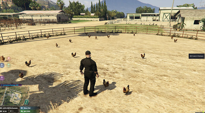 [FREE] Chicken Harvest Script (ox_lib / ox_inventory) 4