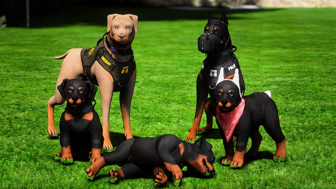 FiveM_b3570_GTAProcess_VvCRUFnDd5
