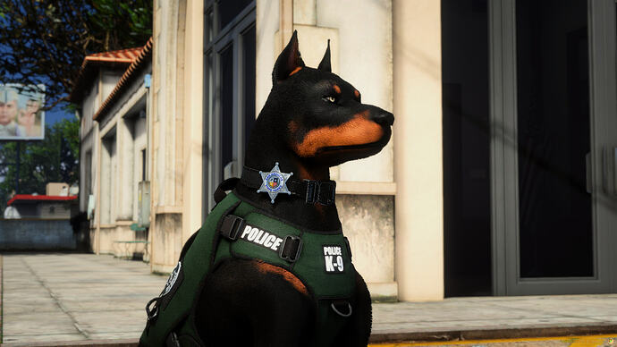 Doberman Adult K9 8