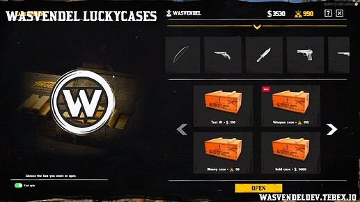 wasvendel_luckycases